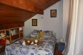 studio des perce neige Barcelonnette